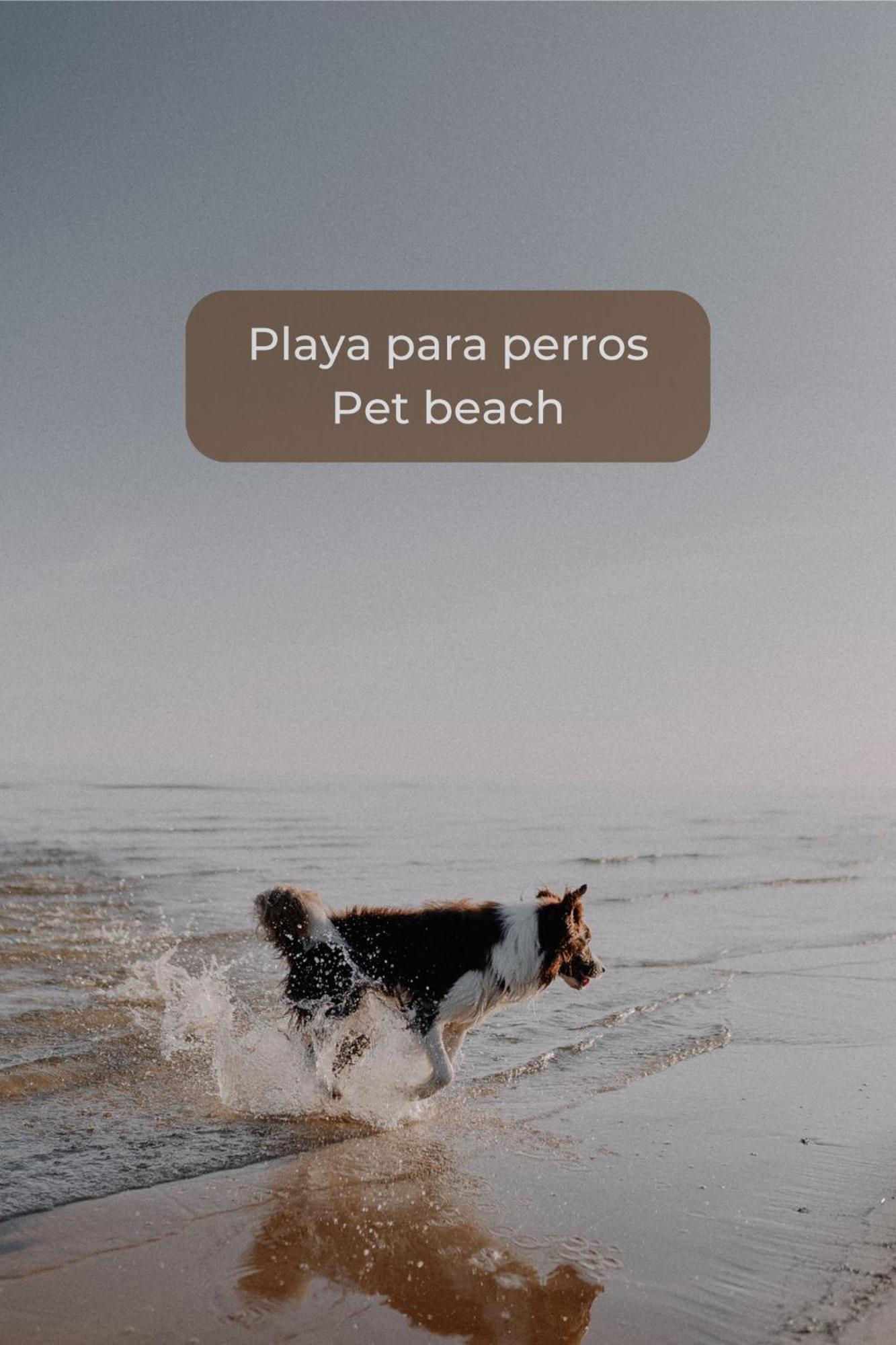 Maracuya Con Piscina, Terraza, Smart Tv, Cocina Completa Y Wifi Lejlighed Corralejo Eksteriør billede